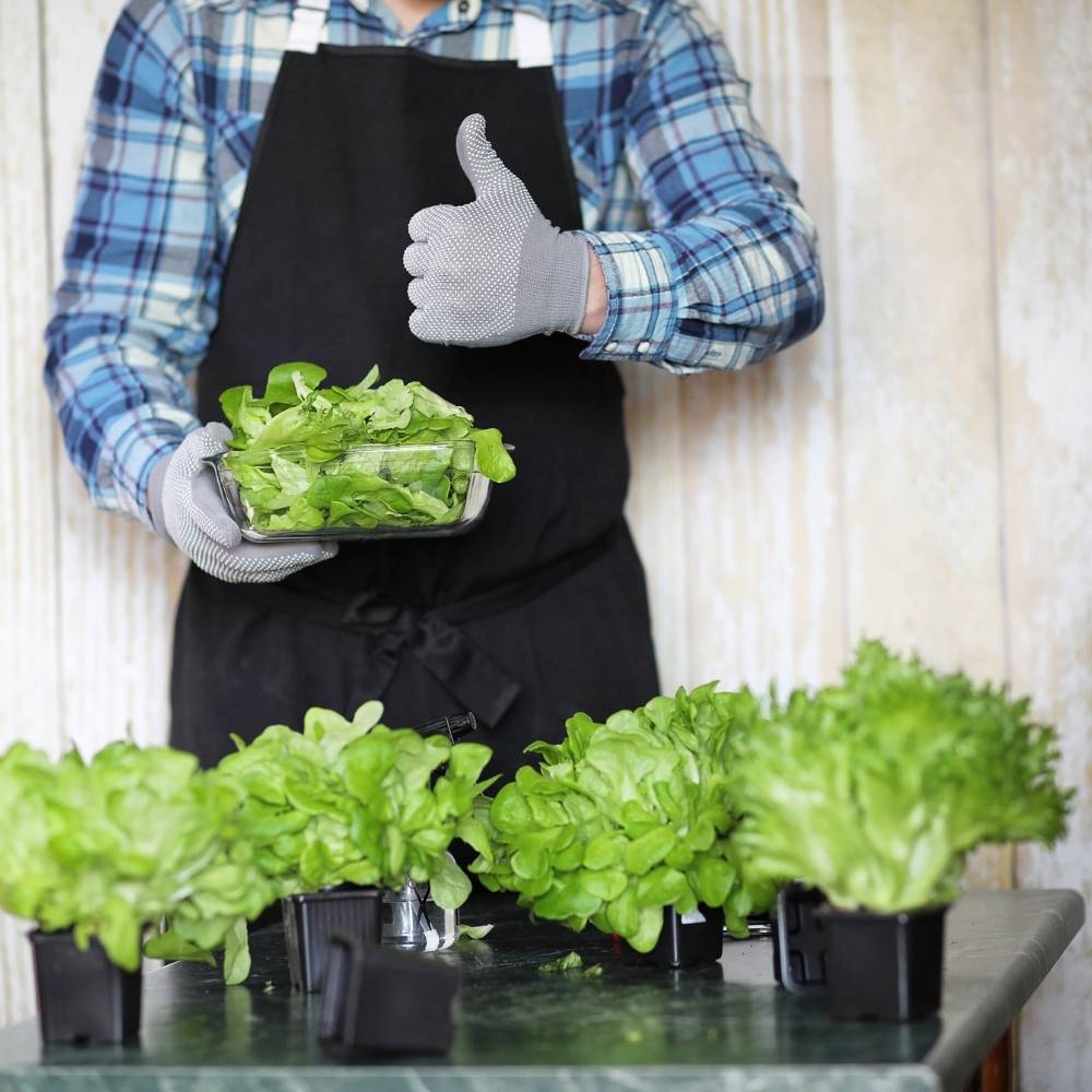 Persona manipulando alimentos frescos con guantes y delantal en un entorno higiénico, representando las buenas prácticas enseñadas en el Curso de Manipulador de Alimentos.