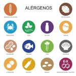 Mesa con alimentos etiquetados y un manipulador revisando productos para identificar alérgenos.